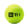 Wilson Titanium Tennis Ball / Cricket ball